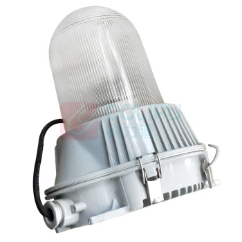 虎光风行 防爆工作灯 FL-BTC6155-G1 300*280*245mm (银色)