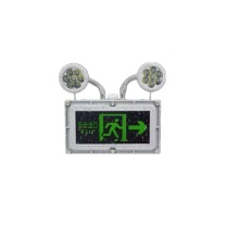 鑫跃昌 应急灯 D20 LED 