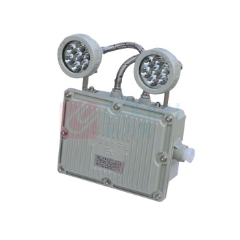 LHDQ 领航电器 防爆应急灯 LHB1113A 2W (灰色) ExdⅡBT6 IP65