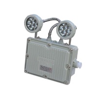 LHDQ 领航电器 防爆应急灯 LHB1113A 2W (灰色) ExdⅡBT6 IP65