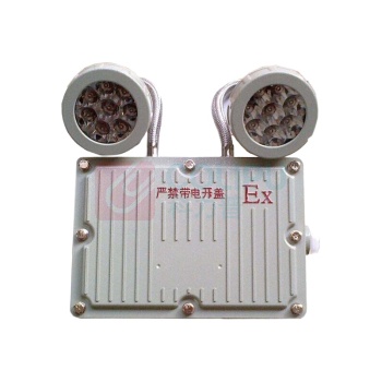 LHDQ 领航电器 防爆应急灯 LHB1113A 2W (灰色) ExdⅡBT6 IP65