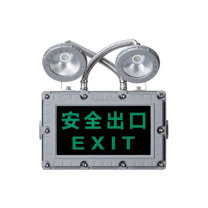 雷诺 防爆双头应急灯 CT4/6 220V Ex ib IIC T4 Gb