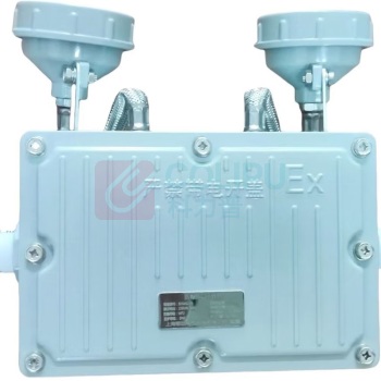 鄂远 应急灯 EY-W6229 2*6W (灰色)