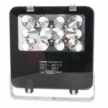 通明电器 LED防眩泛光应急灯 IP66 照明60W 应急25W 1套 ZY8101A-L60-25