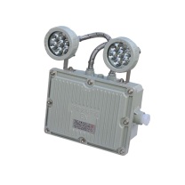 领航电器 防爆应急灯 LHB1113A 2W ExdⅡBT6 IP65 (灰色)