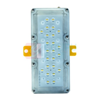 维莱奥斯 LED防爆隧道灯 SDD2001 15W IP66 AC220V 2700-7000K (黄色) 侧壁安装