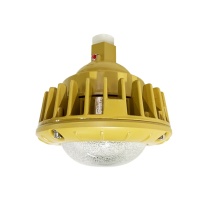 简工智能 JAGONZN 免维护防爆灯(含安装), BGL-04D(T), 220V 20W 6000K IP65 ExdⅡCT6 Gb (黄色)