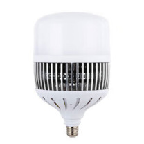 聚透 LED防爆灯 250型灯罩 80wLED球泡 (白光)