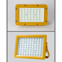 悦常盛 防爆灯 50W 国标