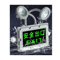 亚明 防爆应急照明灯 ZLJD-1E_45W 220V
