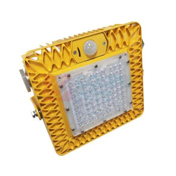 深照紫光 防爆感应灯 GB8055-40W 防护等级IP66 防爆标志EXD IB II CT6 GB/EX TD A21 IP66 T80℃ 防爆感应灯 (黄色)