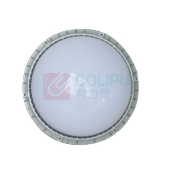 WAROM 华荣 防爆固态照明灯具 RLEEXL518-XL70x/b 70W AC220V IP66