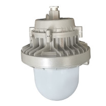 WAROM 华荣 防爆固态照明灯 RLEEXL516-XL70 70W 220V