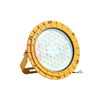 NORTTON LED防爆灯 Blc6238-250 250W 220V