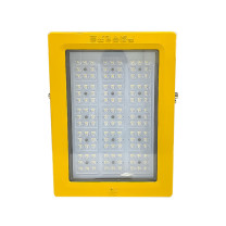 深照紫光 LED防爆灯 GB8185-100W 100W