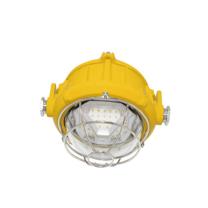尚为 SEVA 矿用隔爆型LED照明灯 DGC42/127L