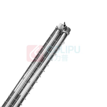 正辉 CHHI LED防爆LED灯(双管型) BCX6228-L 36W (灰色) IP66 Ex d II BT4 Gb AC220V 白光 6000K
