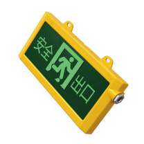尚为 SEVA 防爆消防应急标志灯具 SWBLZD-1LROEI3W-8242 3W Ex nR IIC T6 Gc 220V LED (黄色)