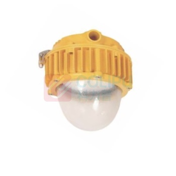 绿麦科技 LED防爆泛光灯 BLM8600FG-50W 功率50W