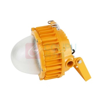 绿麦科技 LED防爆泛光灯 BLM8600FG-50W 功率50W