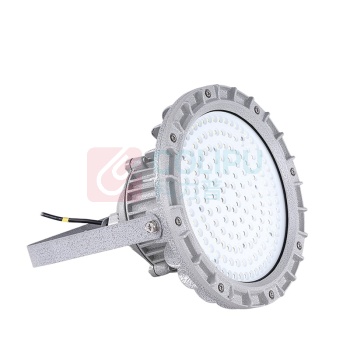 爱迪普森 IDEAPOST led防爆灯 EX三防免维护防爆型工厂灯 GDC66 100W