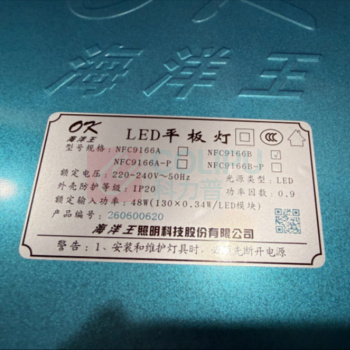 海洋王 平板灯 NFC9166B PLC配置 含钢丝绳组件