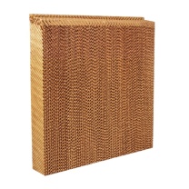 佳普 水帘纸水帘墙商用蜂窝湿帘纸 110cm*88cm*10cm