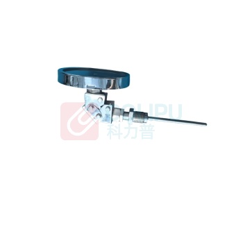傲向 温控仪 AXTSS54D 直径:6mm或8mm 过程连接:M27*2 形式:万向型 常用量程‘-50~100°C, 常用插深:80、100