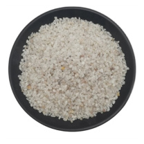 华膜 过滤颗粒 HM0005 一袋装 (白色)