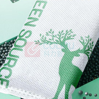 绿之源 GREEN SOURCE 活性炭 除甲醛碳包 12kg