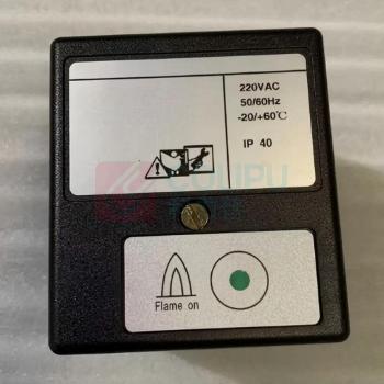 恩耐德 火检电源卡 ZFDP-III-H 锅炉配件