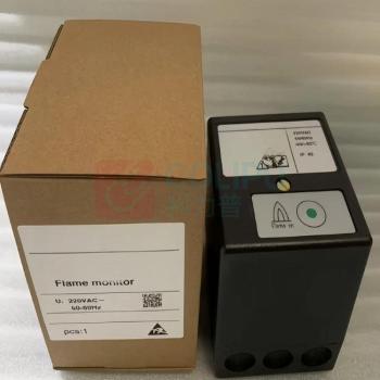 恩耐德 火检电源卡 ZFDP-III-H 锅炉配件