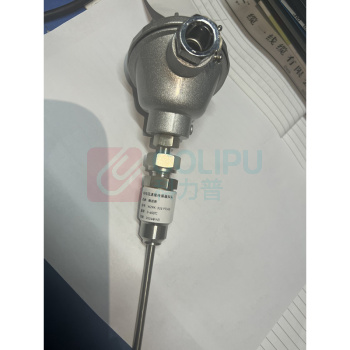 南派克 铂电阻温度传感器探头 WZPK-333 PT500 0-600℃