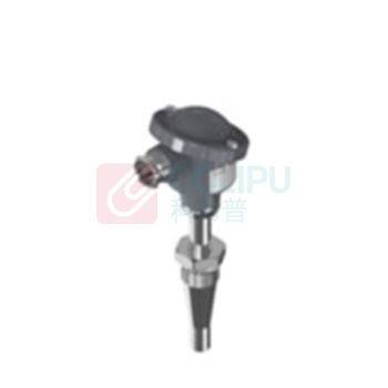 丹佛斯 温度传感器 084Z5052 100mm G3/4