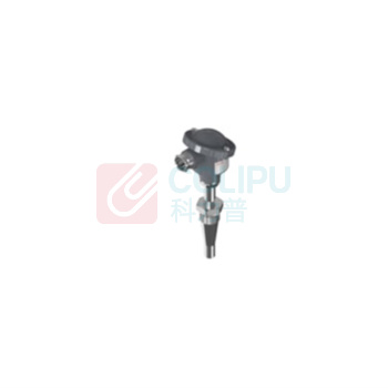 丹佛斯 温度传感器 084Z5256 250mm G3/4