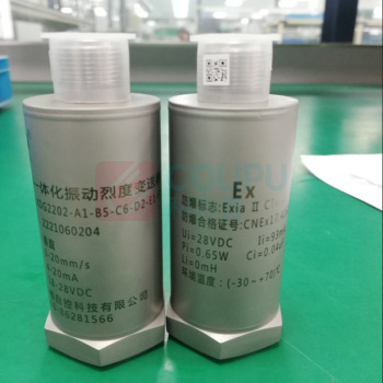 国产 振动烈度变送器 XDG2202-A1-B5-C6-D2-E1-F1