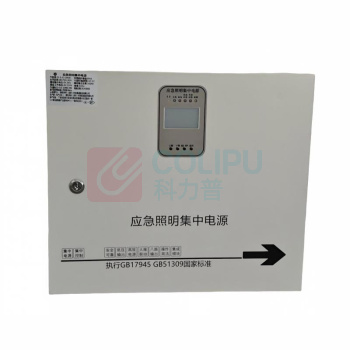 深照紫光 应急照明集中电源 ZG-D-AC-GD9002 1个/个 销售单位:个 (应急照明集中电源\输入AC220V 输出DC36V 功率500W 颜色RAL7035) (计量单位:个)