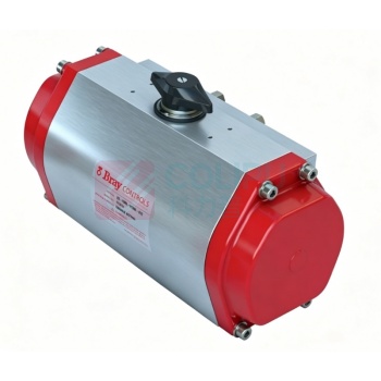 Bray 执行器 92-0830-11300-532