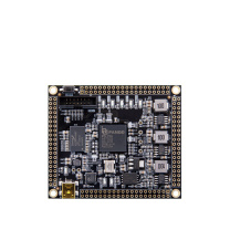 ALINX 紫光同创 Logos 工业核心算力单元 P25G