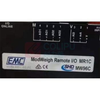 HOLEX 称重控制面板 MW96C-MT8X 