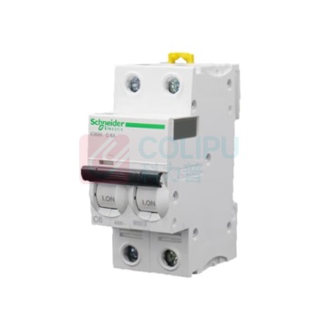 施耐德 Schneider 断路器 IC65N 2P C16A