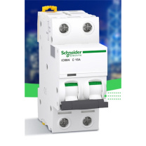 施耐德 Schneider 电气单极断路器 ic65N 1P C16