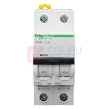 施耐德 Schneider 微型断路器 IC65N C16A 2P A9F18216