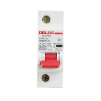 德力西 DELIXI 空气开关 过载保护断路器 DZ47-125 1P li(C) 100A