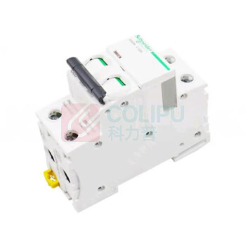 施耐德 Schneider 空气断路器 IC65N 2P 63A