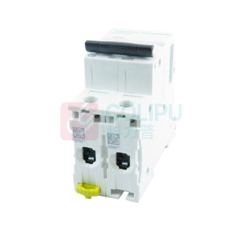 施耐德 Schneider 微型断路器 A9F18250R iC65N 2P C50A 双进双出标准型 2P C50A 