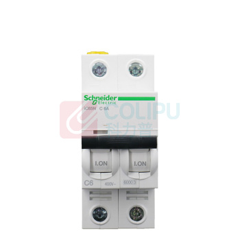 施耐德 Schneider 空气开关 A9F18206 IC65N 2P 6A  A9系列 小型断路器2P双进双出