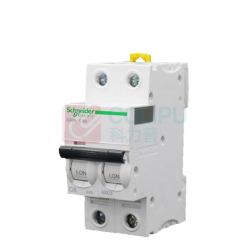 施耐德 Schneider 空气开关 A9F18206 IC65N 2P 6A  A9系列 小型断路器2P双进双出