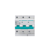 天正 断路器 TGB2D-125RW 4P C125 335012800466(祥云3.0)