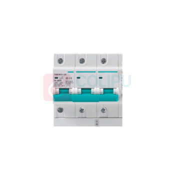 天正 断路器 TGB2D-80R 4P C80 TGB1NLE-125 30mA(祥云3.0) 335021600189